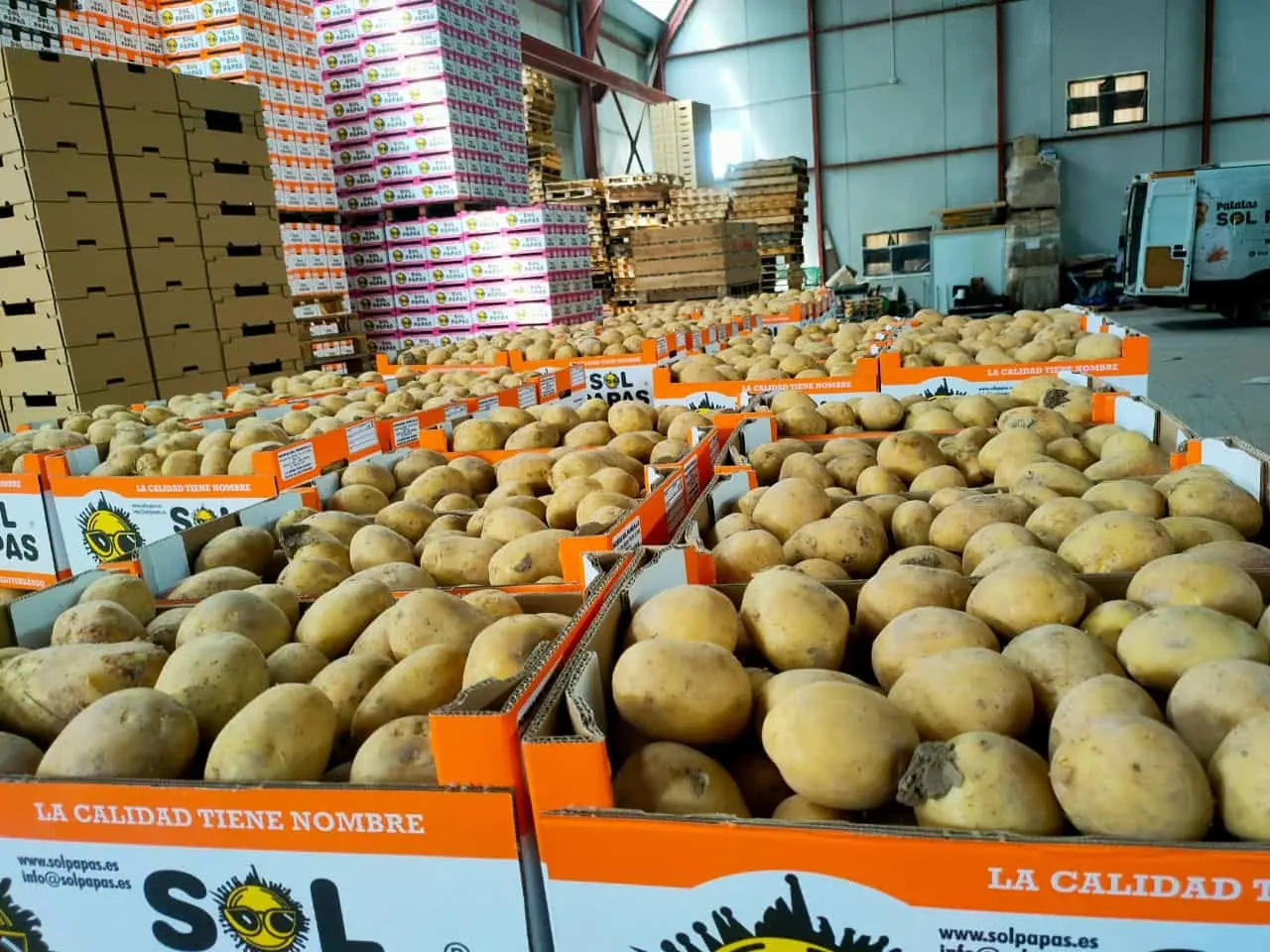Cajas de Sol Papas llenas de patata en la nave