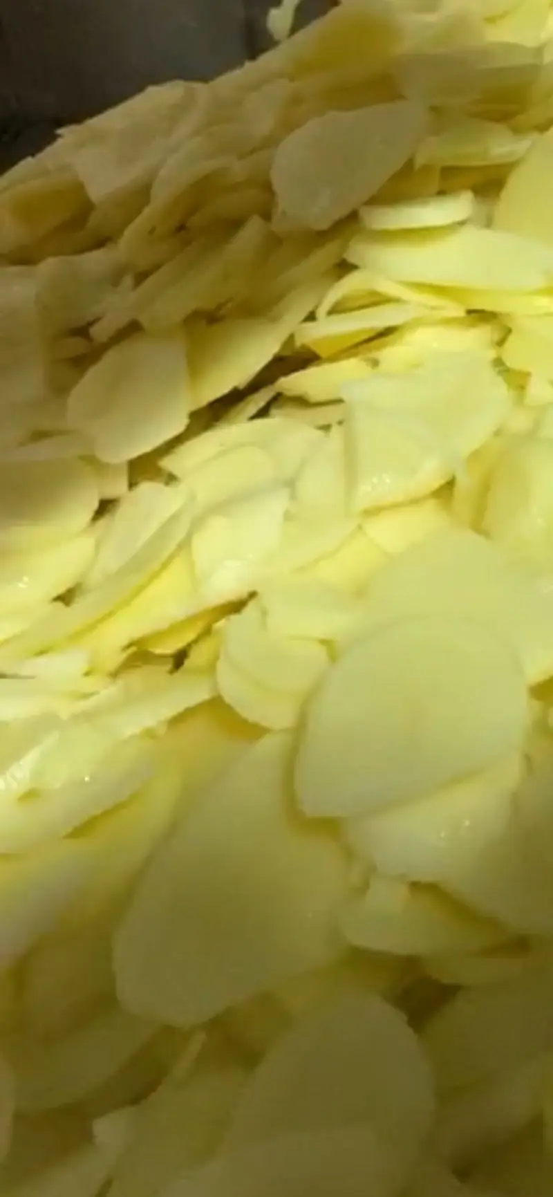 Patata recién laminada para corte panadera