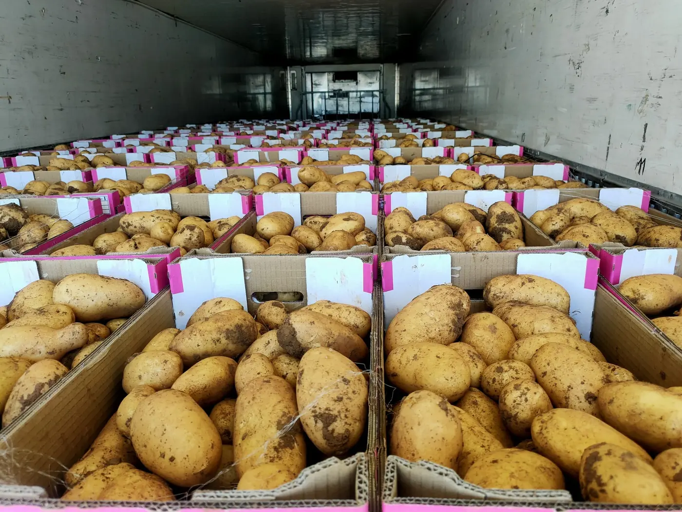Interior de un camión frigorífico cargado con cajas de patata de Sol Papas