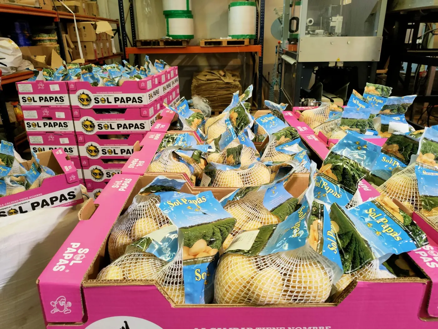 Bolsas de patata confeccionadas en la nave