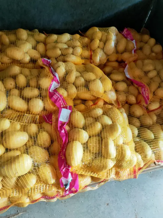 Sacos de malla de patata en la nave