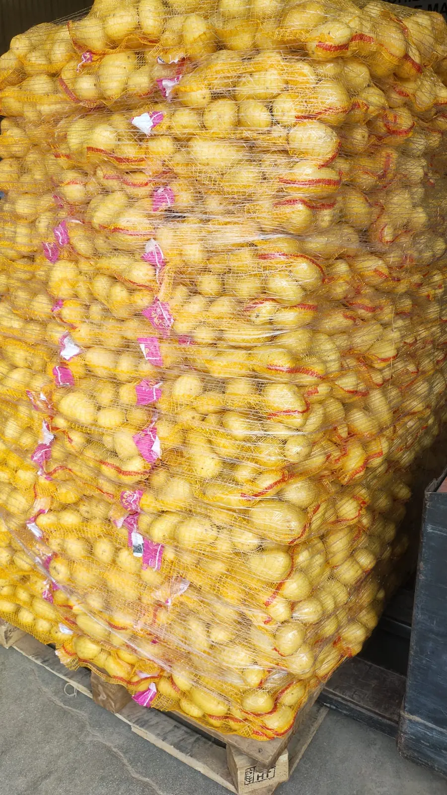 Palé de sacos de patata enfardado